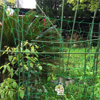 瓜果藤網種植物攀爬牽引月季百香果網豆角搭棚架爬藤網種植網農用