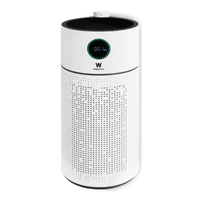 Worldtech เครื่องฟอกอากาศ PM2.5 HEPA13 รุ่น WT-P110