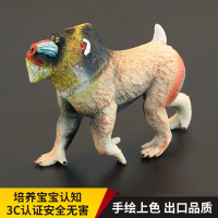 Mainan Haiwan Realistik, untuk Kanak-kanak, Warna Pepejal, Model Mandrill Baboon Primata, Kognitif, 