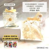 【A-ONE】浮游花DIY花材包 乾燥植物 羊齒 裝飾花 繡球花 乾花花材包 天然風乾 羊齒 蓬萊松 H42