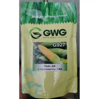 GWG YUMI G927 500G |   Benih Jagung Manis |   Biji Jagung Manis. Selamat datang ke kedai kami.