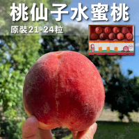 水果狼 美國空運 誼馨園桃仙子水蜜桃21-24顆 / 4.5kg 原裝箱