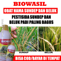 Pupuk BIOWASIL isi 500 ML PEMBASMI SUNDEP DAN BELUK AMPUH Menghilangkan Hama Padi Sawah, Obat Pengen