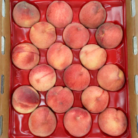 【愛蜜果】美國加州空運水蜜桃8入禮盒x1盒(約2公斤/盒_誼馨園 桃仙子)