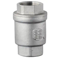 304 Stainless Steel One-way Valve Silver 3/4" NPT Thread Spring Check Valve Female to Female Thread Water Check Valve