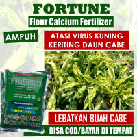 Pupuk Bulai Cabe Organik Atasi Kuning Daun dan Keriting Cebe Pupuk Pelebat Buah Cabe Rawit Penyubur