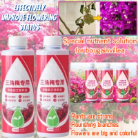 Bougainvillea Special Fertilizer Plant Nutrient Solution for Flower Cultivation Universal Plum Blossom Potted Household Flowers