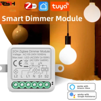 Tuya Wifi&amp;ZigBee Smart Dimmer Switch Module 2 Way Dimmable Light Switch APP Remote Control Work With Alexa Google Home