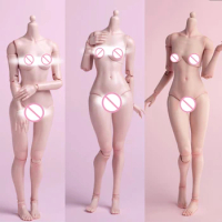 1/6 female E CUP BUST Chest replacement model Worldbox Pale Suntan