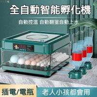 孵化器小型家用孵蛋機全自動智能水床孵蛋器雞鴨鵝鵪鶉迷你孵化箱