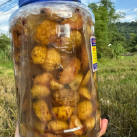 Cốt Táo Mèo Lên Men - Snack Snacks