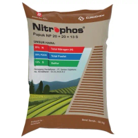 NITROPHOS 20 20 13S PUPUK granular membantu tanaman dalam penyerapan nutrisi yang diperlukan