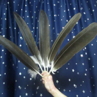 New listing! 20 pcs 16-18 inches / 40-45 cm of rare natural eagle feathers Favorites Free Shipping