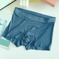Men Trunks Ice Silk Boxer Brief Soft Pouch Panties Summer Thin Quick Dry Knickers Middle Waist Lingerie Seamless Underwear
