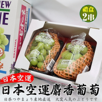 【天天果園】日本長野麝香葡萄禮盒2串組(每串約350g)