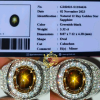 Natural 12 Ray Golden Star Sapphire Corundum