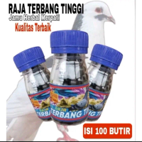 PROMO! JAMU MERPATI TERBANG TINGGI keket giring stut door buktikan khasiatnya Raja Doping Merpati Ti