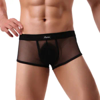 Sexy Breathable Thin Boxer Black Men Mesh Transparent See Through U-convex Underwear Lingerie Gay Wear Pants Letter Print Briefs