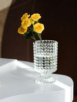 南十字星 簡約透明玻璃高腳花瓶小 現代客廳餐桌水培器皿插花水晶