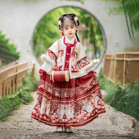 Chinese Hanfu Children Han Dynasty Princess Fairy Dance Dress Kids Crane Embroidery Chinese Traditional Folk Costume Cosplay