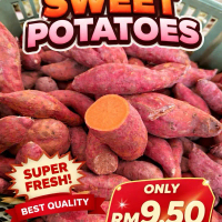 Super Fresh Sweet Potatoes Best Quality Hanya RM9.50