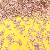 100g/lot Bird Slice Mini Play Toys Clay Sprinkles For Crafts DIY Making Nail Stickers Slices Slimes Filler Phone Accessories:8mm