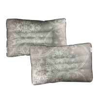 派樂 石墨烯珍珠棉/多功能護頸枕頭(1顆-花紋隨機出貨)石墨烯枕 枕頭 睡枕