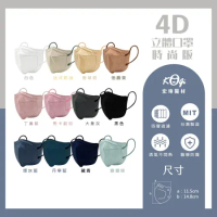 【宏瑋】4D時尚版口罩-10入/盒