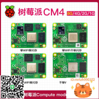 樹莓派 CM4 4b 開發板核心板raspberry pi 4 AI視覺套件 2g 4g 8g-杏奈生活舘