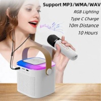 Dual Microphone Karaoke Machine Portable System with 1&amp;2 Wireless Microphones for Home for Adults and Kids Bluetooth PA Speaker
