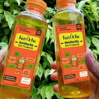KuyOcha Kombucha | Teh Kombucha Probiotik | Kombucha Original