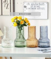 透明大號彩色玻璃花瓶 創意水培花瓶