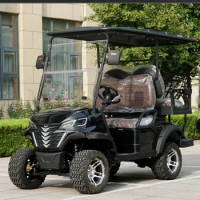 CE Approved 2/4/6/8 Seater Electric Golf Car For Tourist Electric Golf Cart Street Legal Electric Go Kart
