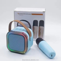 2025K Microphone Speaker Microphone Home KTV Set Wireless Bluetooth Children's Square Dance Speaker
