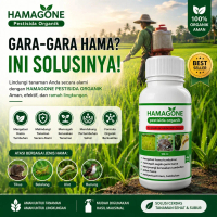OBAT HAMA ULAT PADI SUNDEP BELUK 100 ML HAMAGONE - Obat Hama Padi, Atasi Hama Ulat Sundep, Wereng, T