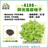 【綠藝家】A108.陽光萵苣種子1.8克(約1800顆)
