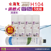 【水蘋果】Everpure H104 公司貨濾心+WAP-110高濾效10吋溝槽5uPP濾心(5支組)