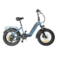 2023 DYU Newest FF500 20*4.0 inch urban ebike LCD Display electric heavy bike kit 500w