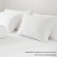 ผ้าปูที่นอนลายริ้ว KASSA HOTEL รุ่น 250T ขนาด 6 ฟุต สีขาว