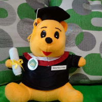 Boneka Wisuda Winnie the pooh 25 cm, plus nama dan pin