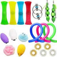 20PCS Pack Fidget Sensory Toy Set Stress Relief Toys Autism Anxiety Relief Stress Pop Bubble Fidget Toy For Kids Adults Dropship
