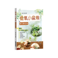 造氧小盆栽踢走髒空氣