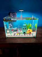 Nature X Fantasy Style  Aquarium Set | 16\x10\"x10\" Glass Aquarium"