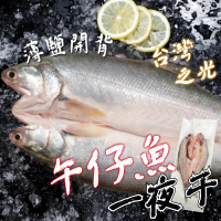 【一手鮮貨】臺灣午仔魚一夜干(4尾組/單尾220g±5%)