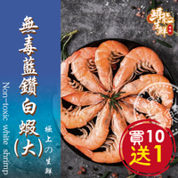 【慢食優鮮】無毒藍鑽白蝦 (250g/冷凍) 免運 買10送1 -60℃急速冷凍 無抗生素 無化學添加物