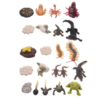 21 PCS Simulation Animals Growth Cycle Scorpion Centipede Frog Crocodile Life Cycle Models Figures Educational Kids Toys