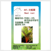蔬菜工坊 A41.紅火焰菜種子(紅柄菾菜、紅火焰菜、君達菜、甜菜)