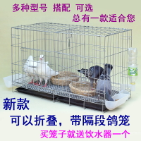 鳥籠 鴿子籠 籠子 鴿子籠養殖籠鴿子配對籠籠子大型大號繁殖鴿籠鴿子籠家用『cyd17900』