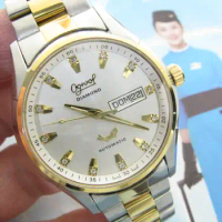 Fish Watch “Diamond Scale” automatic men's Sapphire ETA 2836 ogival（Spanish+English）