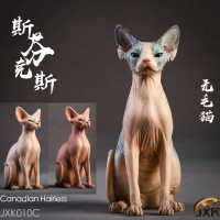 JxK.Studio Jxk010 1/6 無毛貓 斯芬克斯 動物模型 GK 靜態擺件